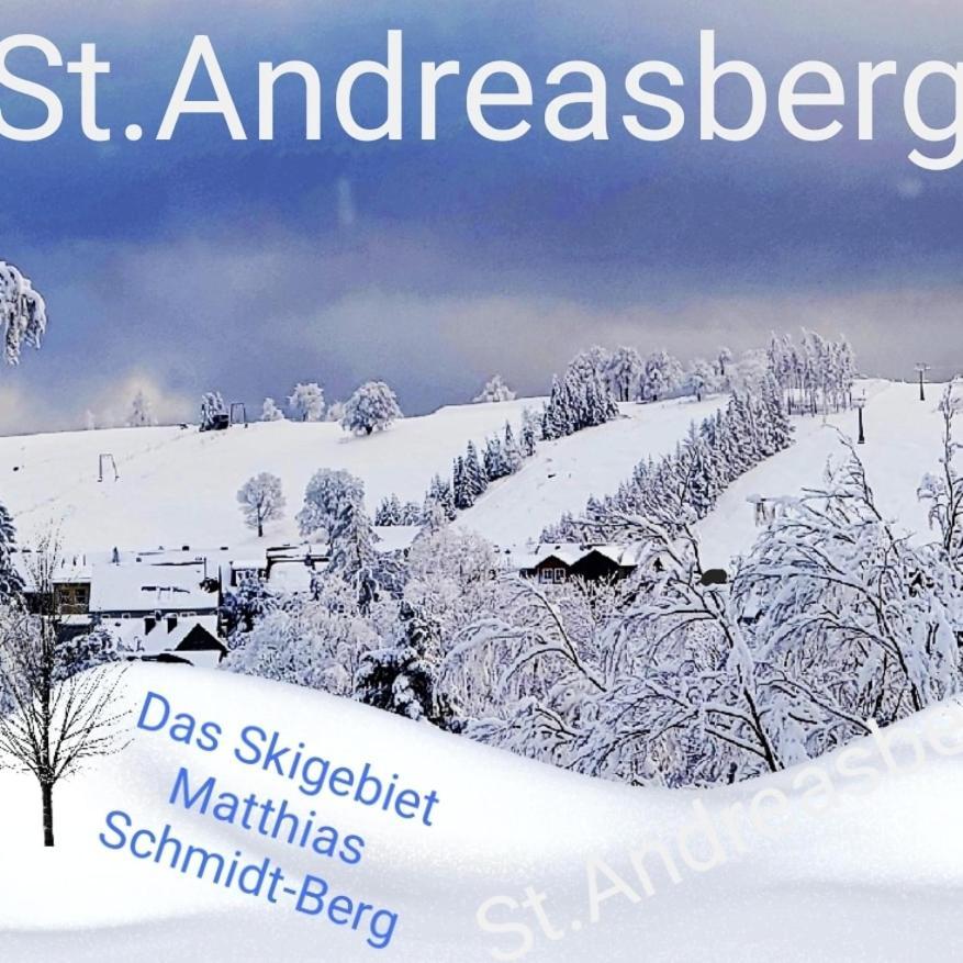 4 Sterne Ferienwohnung 140 Qm Im Haus Tina Sankt Andreasberg Esterno foto